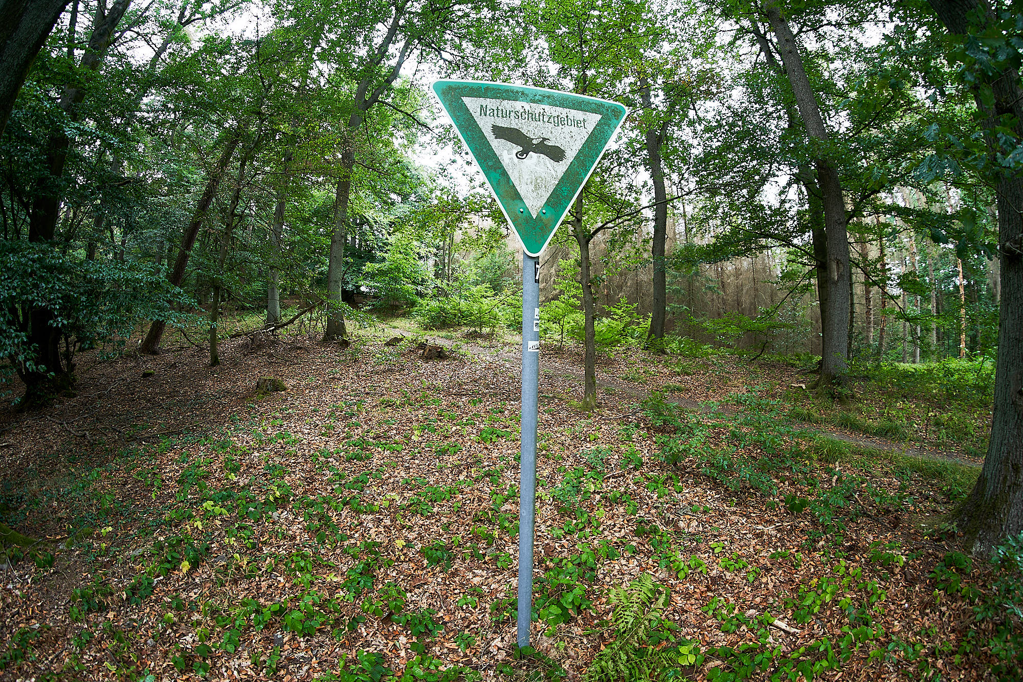 Fürstenhaus zu BentheimTecklenburg Die offizielle Webpräsenz